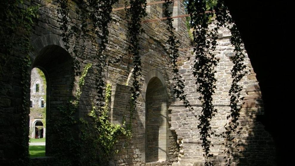 galerie Belgie 1