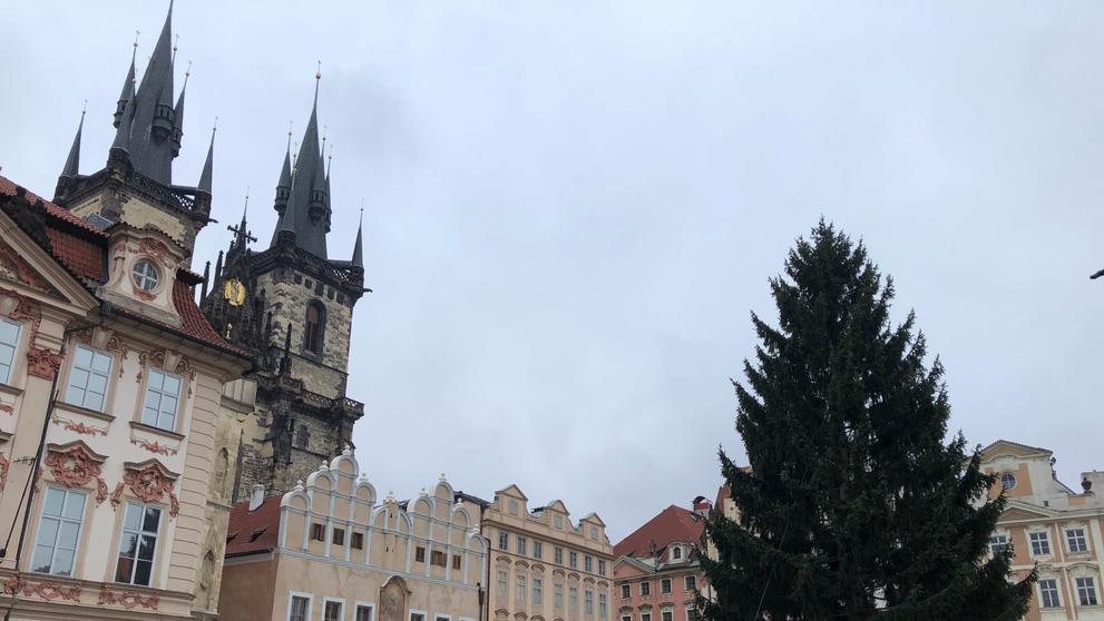 Vánoční strom na Staroměstském náměstí - 1