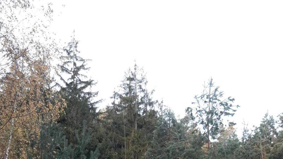 Záchrana zraněného turisty v Českém ráji