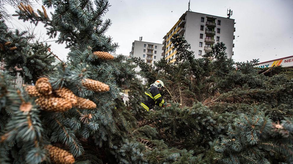 Likvidace popadaných stromů v Novém Městě nad Metují