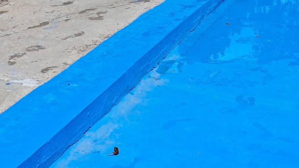 Snímky, které paní Markéta vyfotila na koupališti v Čakovicích