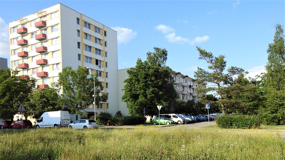 Čmelák (2)