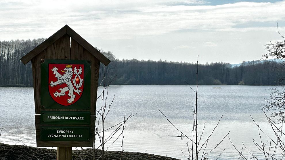 Vrbenské rybníky v Českých Budějovicích