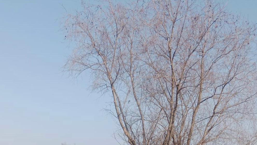 Řidič při jízdě na dálnici střílel (1)