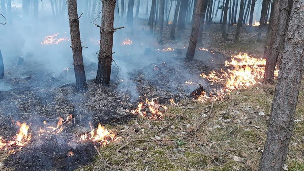 Rozsáhlý požár lesa nedaleko železniční trati u Pňovan - 7