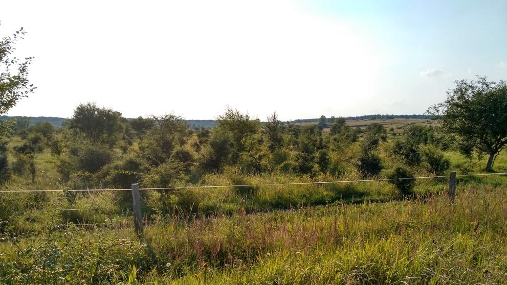 Přírodní rezervace Milovice - 1