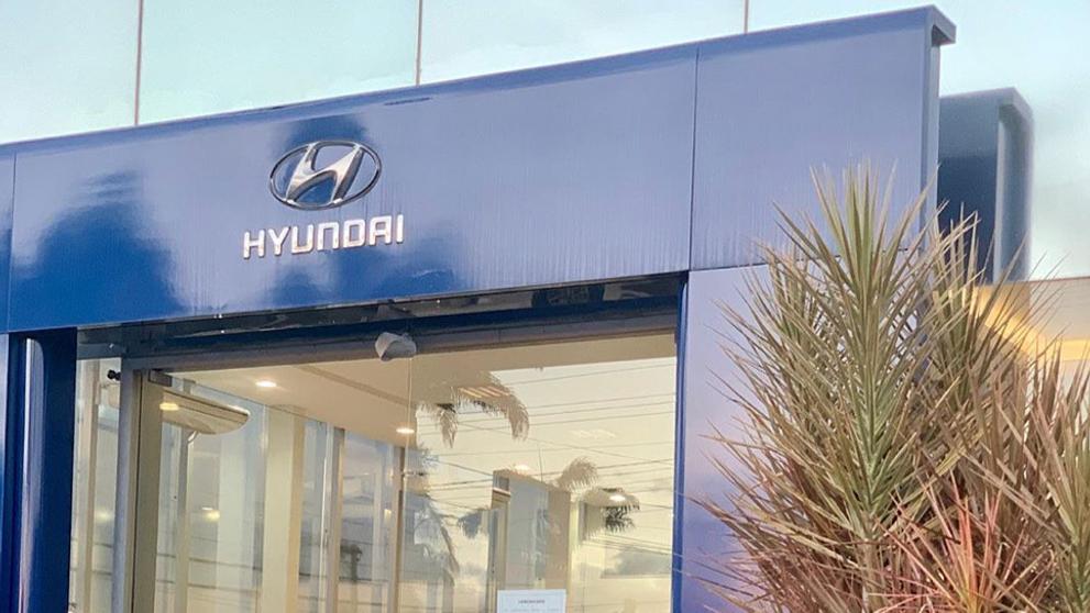 Toulavý pes zaměstnancem autosalonu - 35