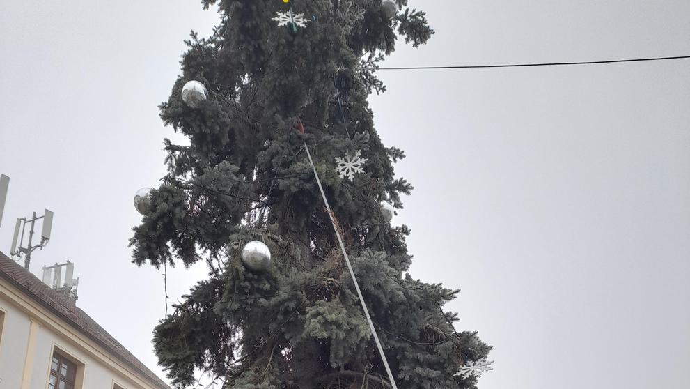 KŘIVÝ VÁNOČNÍ STROM - 2