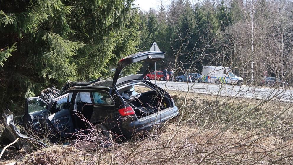 Řidič s kradeným vozem skončil po honičce ve stromě - 9