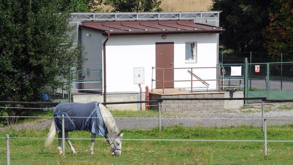 Koně Pancové a Kotta - 9