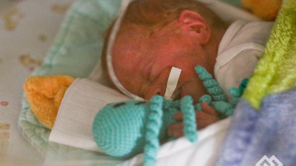 V Motole se narodila čtyřčata - Ondřej