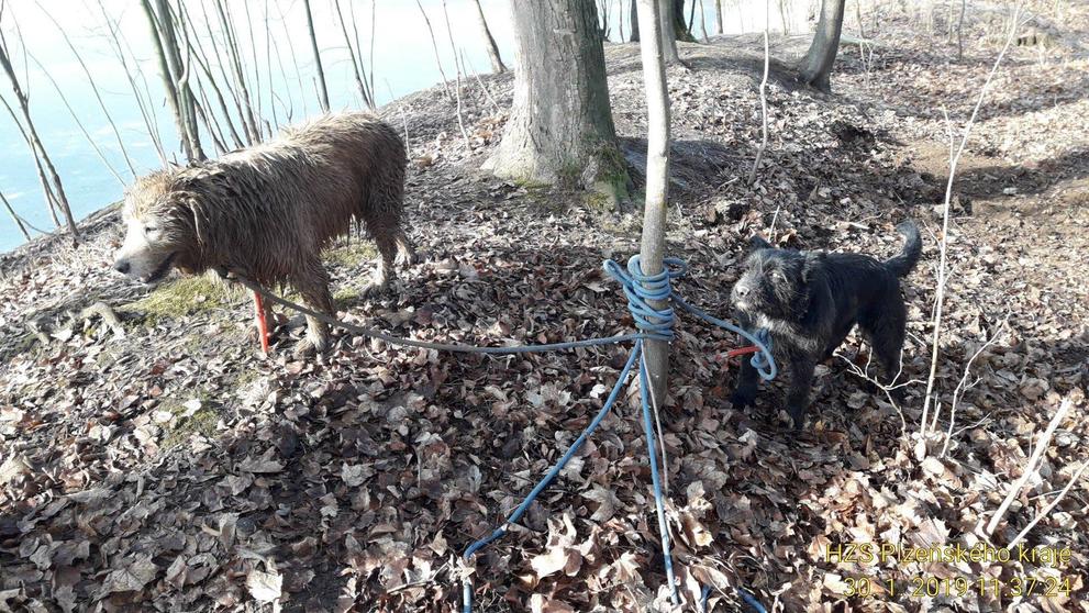 Záchrana psa z nory na Plzeňsku - 3