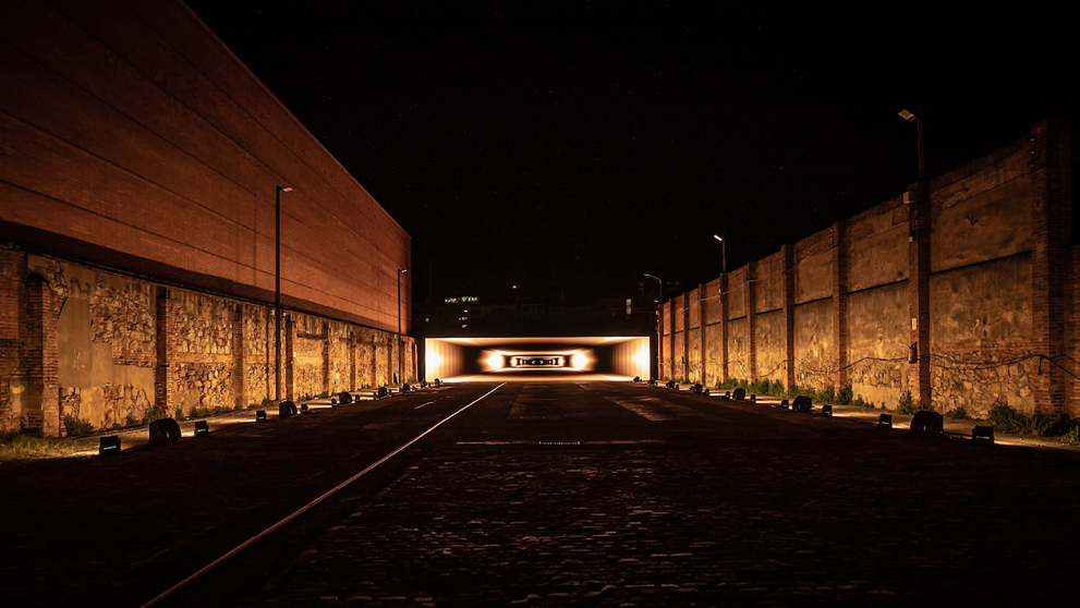 Signal Festival (3)