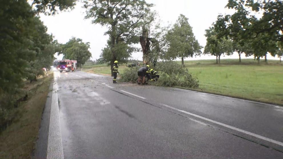 Bouře lámala stromy
