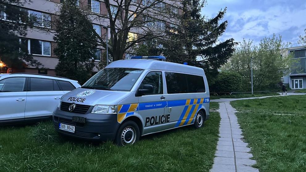 Policie na místě činu (2)