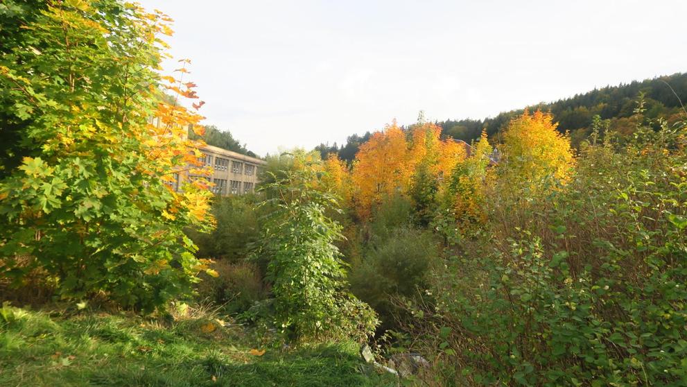 Dopravní nehoda v Tanvaldě