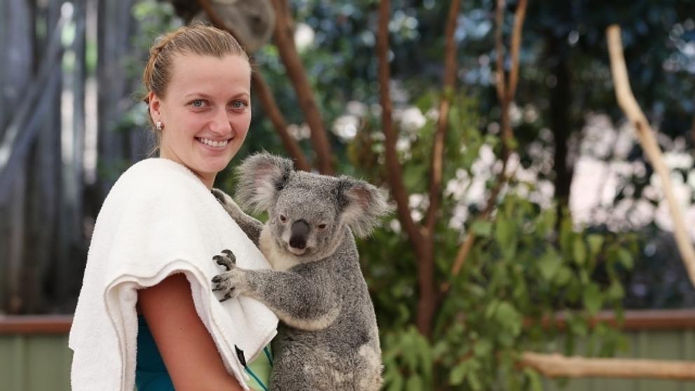 Petra Kvitová a koala - 7
