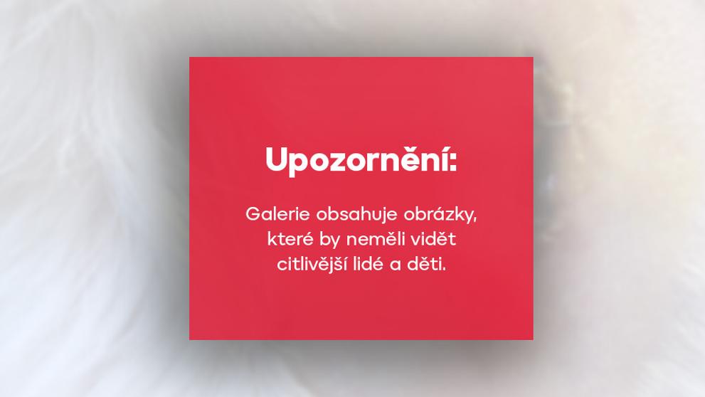 Upozornění přes první fotku v galerii