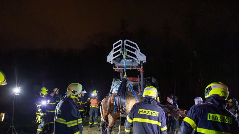 Hasiči zachránili na Frýdecko-Místecku kobylu - 3
