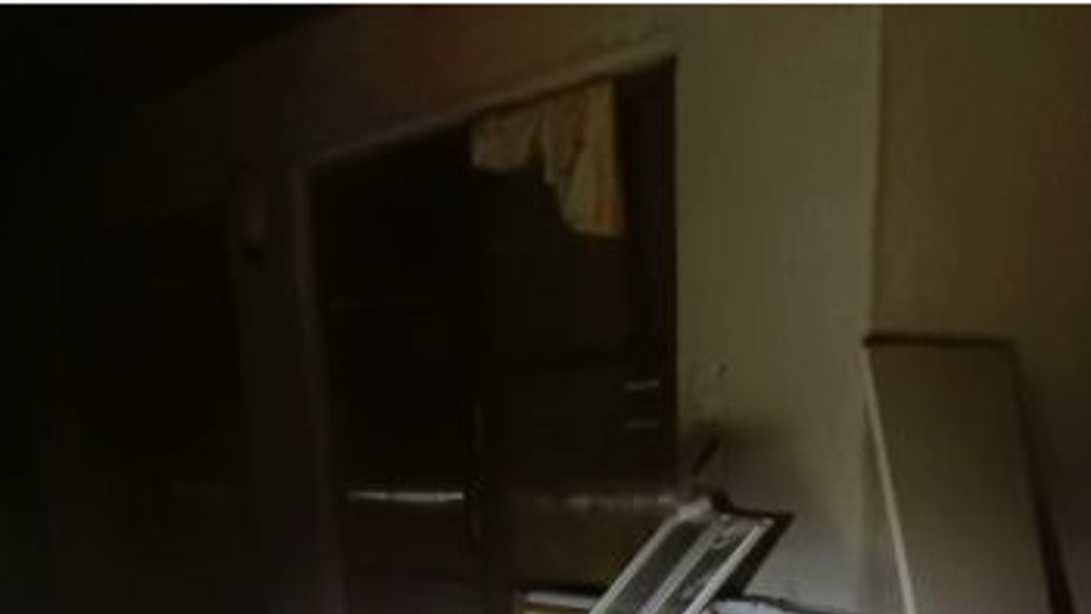 Týrání psů