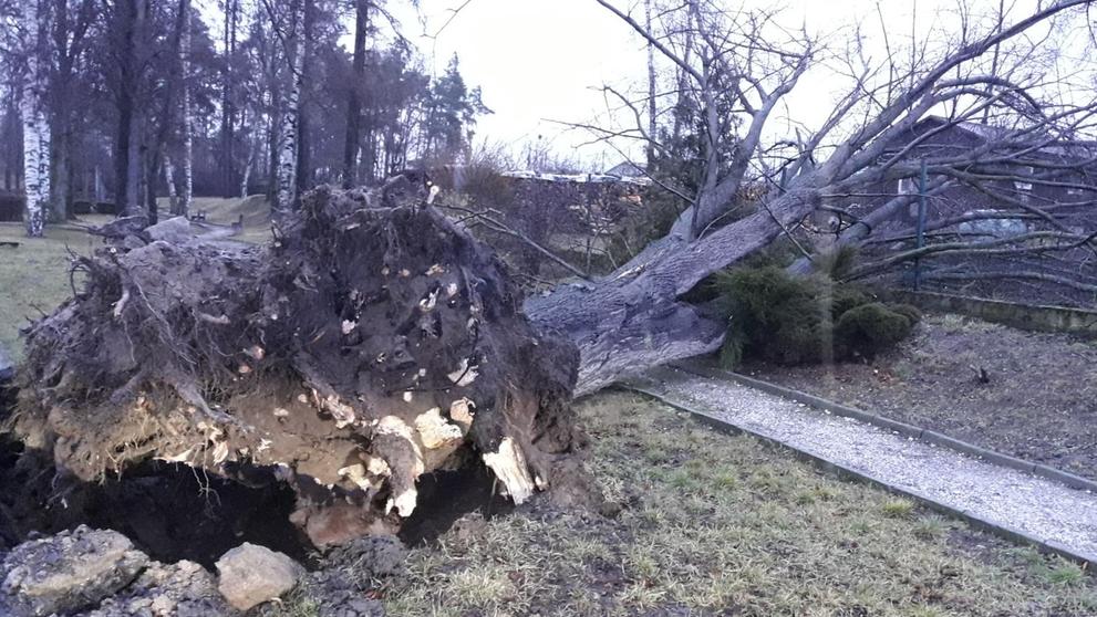 Silný vítr na Plzeňsku - 10