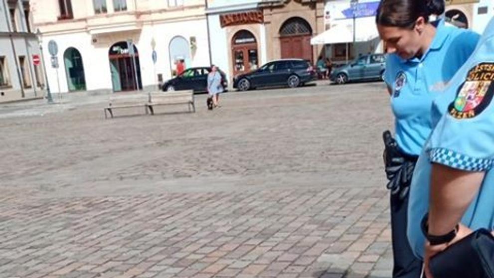 Polonahý muž napadl strážnici, tekla i krev - 3