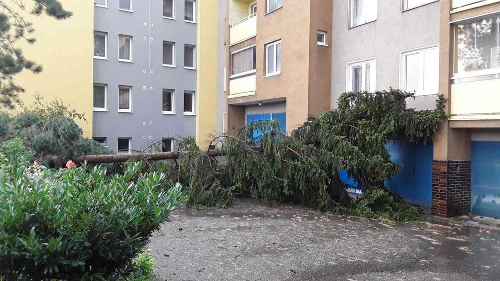 Prostějovem se prohnala prudká bouřka - 3