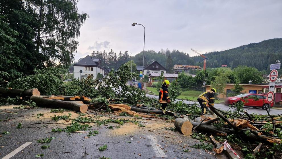 Odstraňování následků bouřky (1)