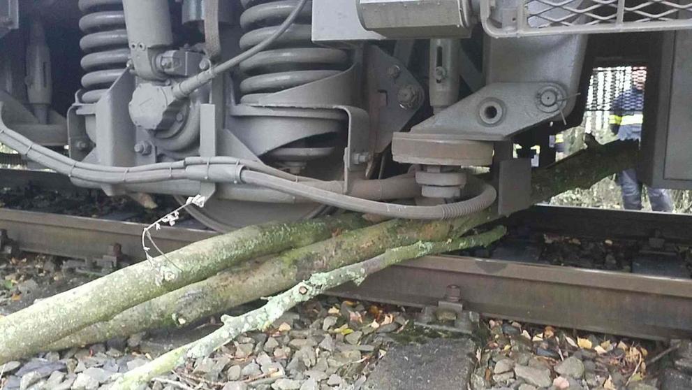 Vlak najel na spadlý strom, evakuovali cestující
