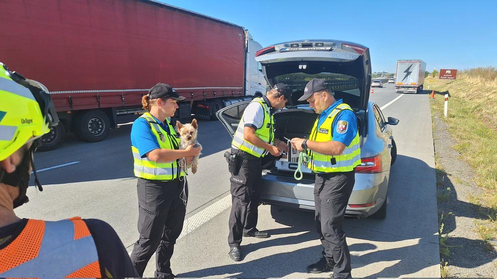 Dopravní nehoda karavanu a kamionu na D1