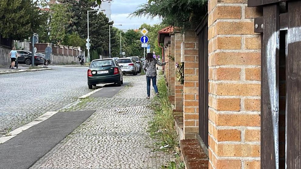 Dáda Patrasová se po nehodě válela na ulici