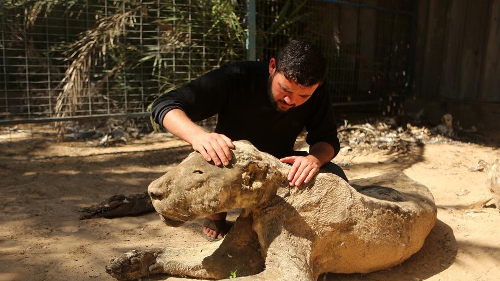 Zoo hrůzy v Palestině - 2