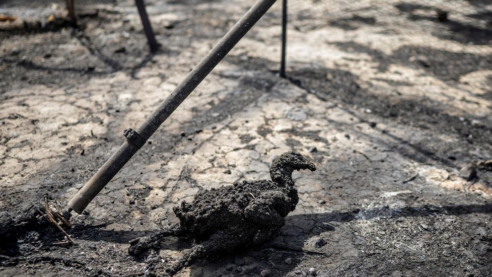 Následky požáru v Řecku, 27. 7. 2023 vesnice Gennadi