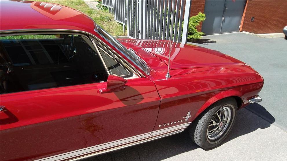 Mustang - 11