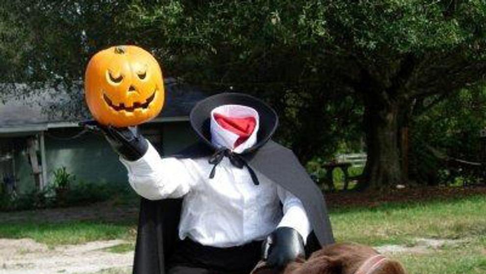 Halloweenské oblečky pro mazlíčky