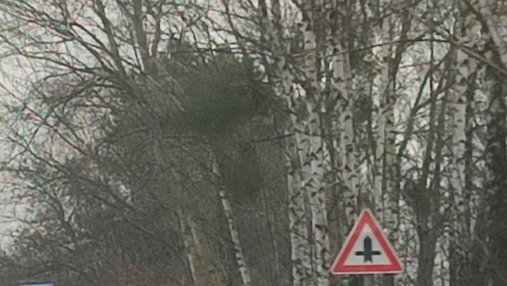 Řidič nadýchal 2,5 promile