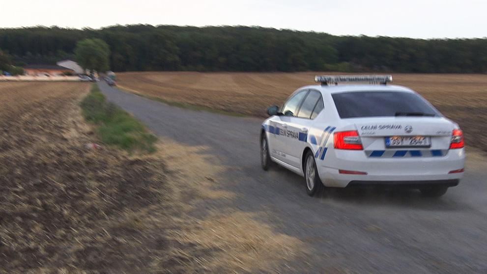Policejní razie kvůli nelegálnímu zabíjení tygrů - 1
