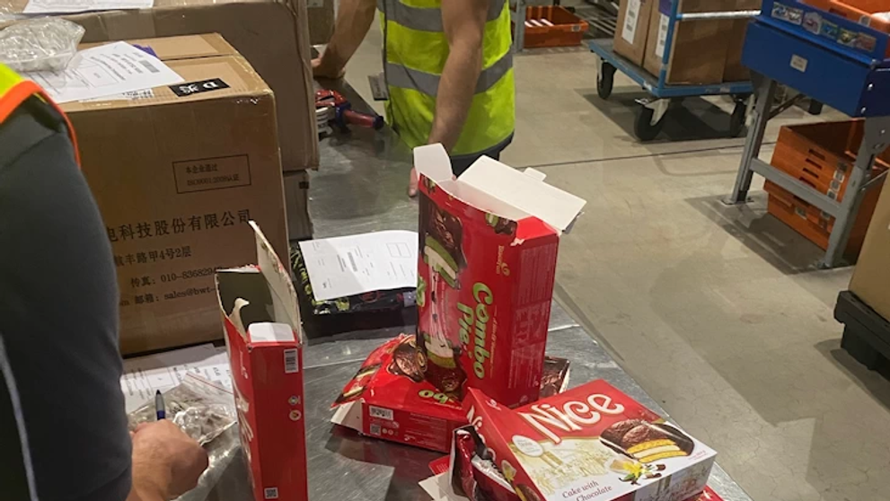 Německá celní správa našla v zásilce 1 500 sklípkanů