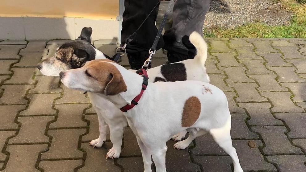 V plzeňském bytě našli mrtvého muže - 13