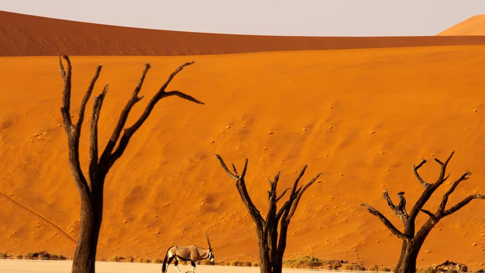 Nejkrásnější místa světa - Deadvlei, Namibie