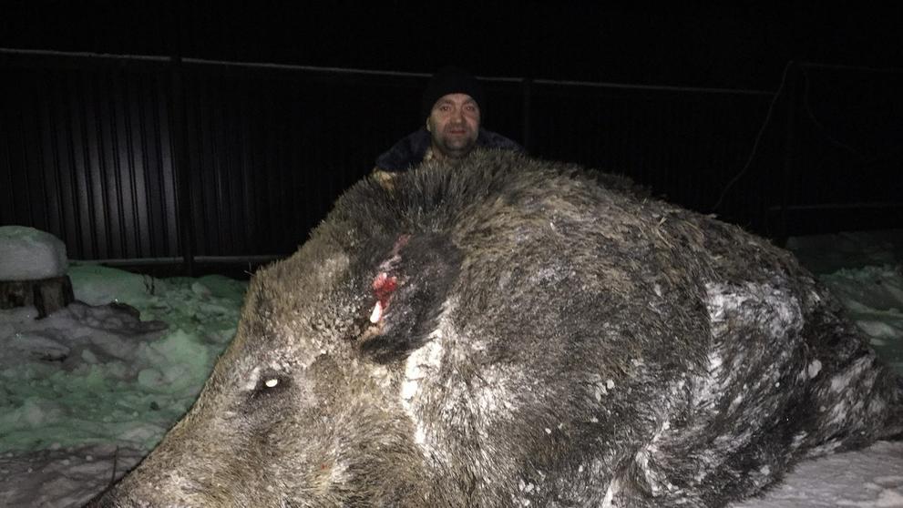 Gigantický divočák - 2
