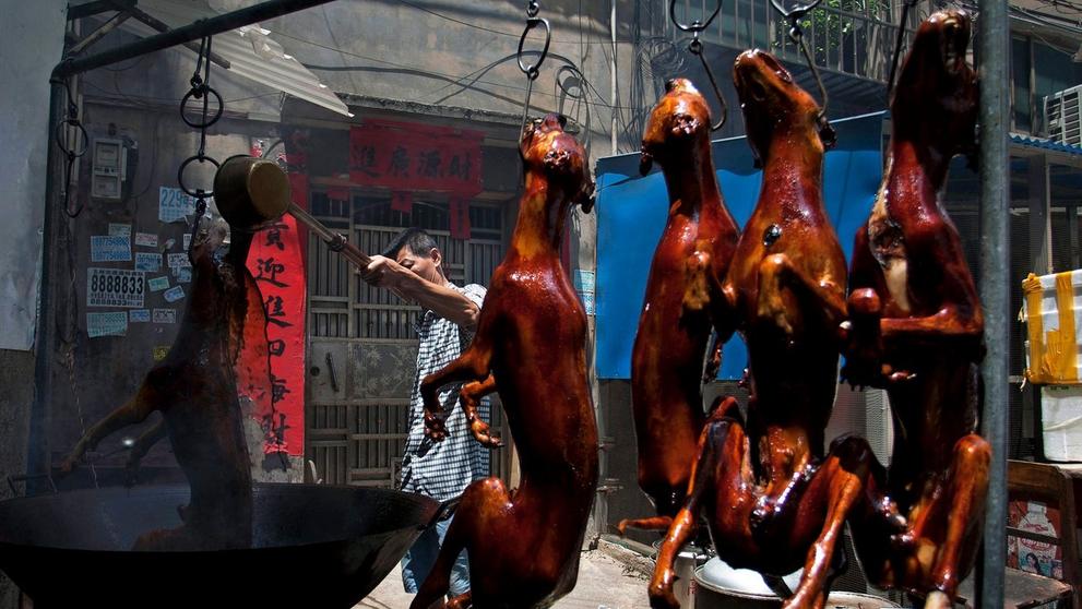Pojídání psů na festivalu Yulin 2015 - 12