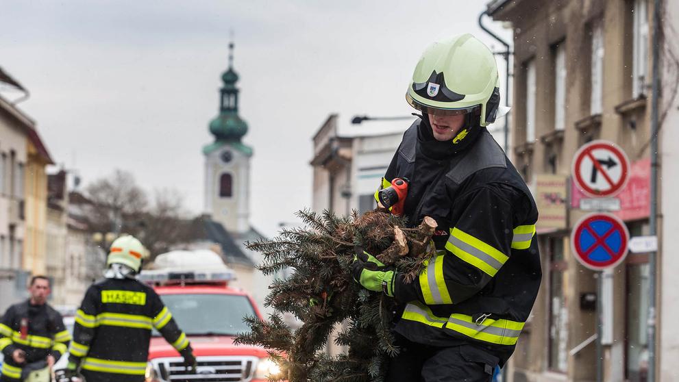 Likvidace popadaných stromů v Novém Městě nad Metují