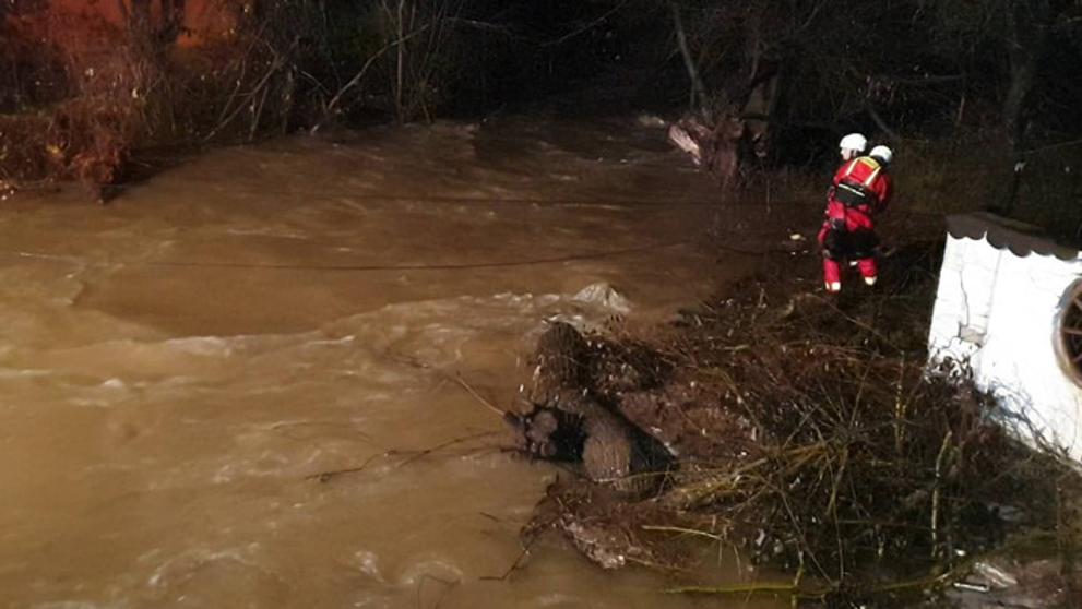 Ženy chtěly zachránit při povodních psi z útulku - 2