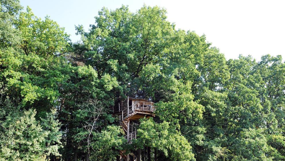 Tree house - 13
