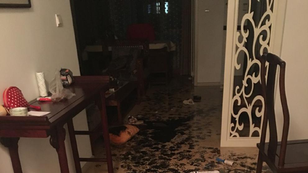 Pes za tři hodiny upravil byt - 3