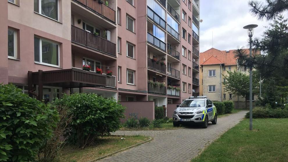 Smrt dítěte v Čelákovicích 2