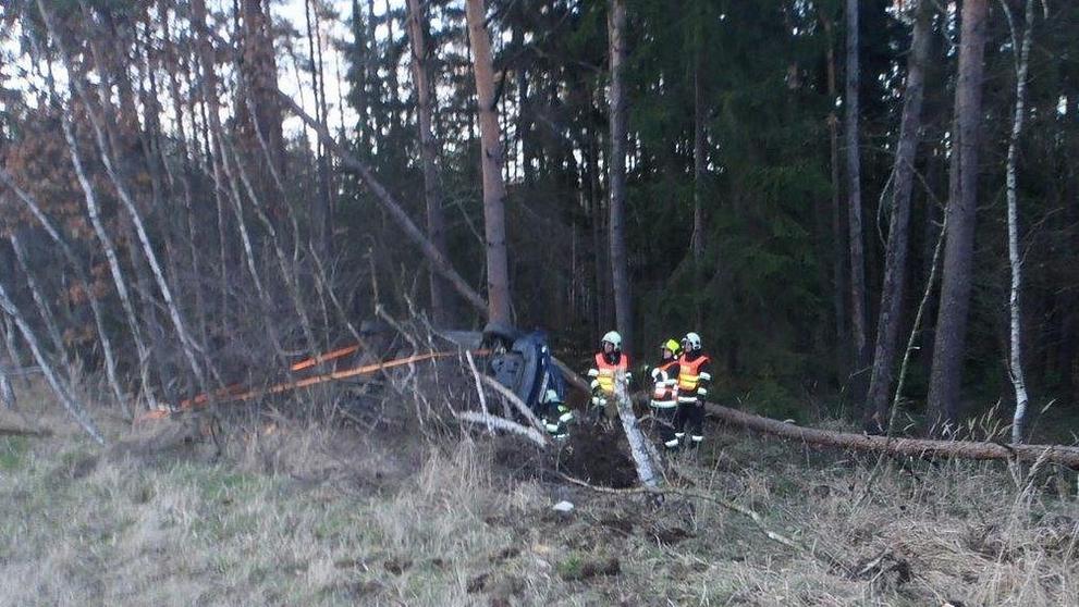 Auto vyletělo z dálnice do lesa