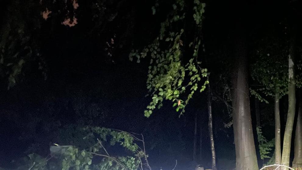 Spoušť v ostravské zoo