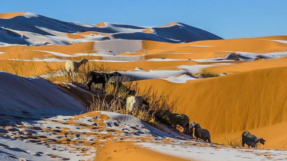 Zasněžená Sahara - 3